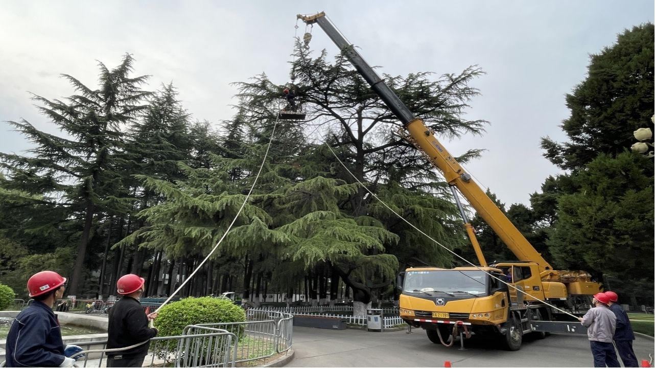 我为师生办实事——校友林景观改造提升
