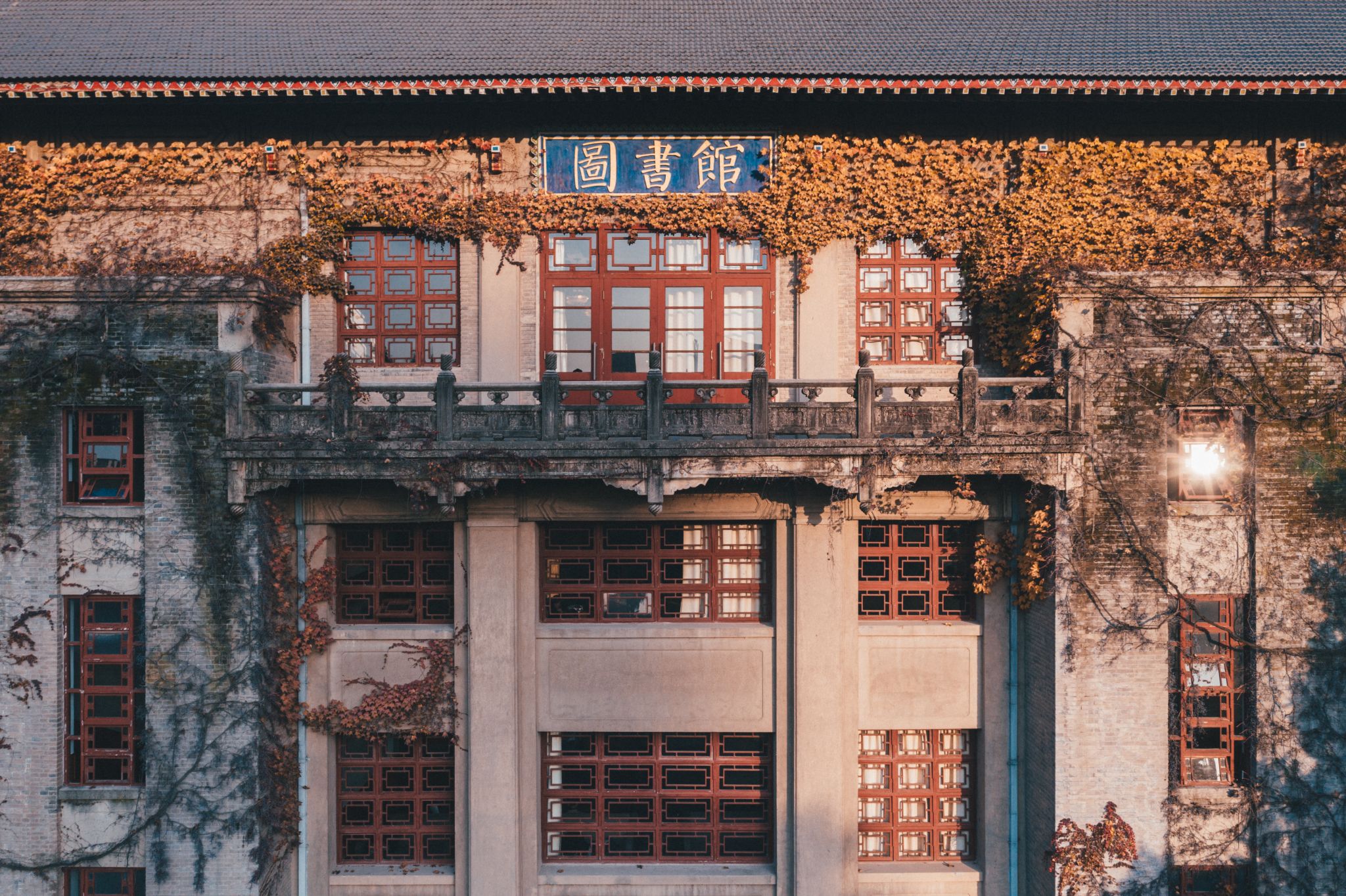 师大的秋