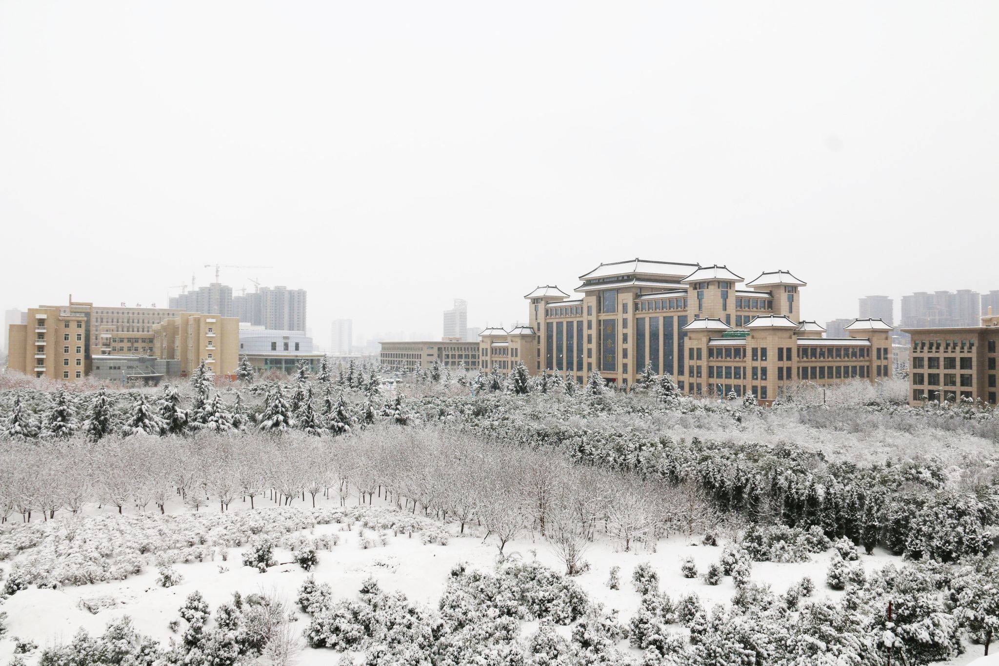 师大的冬