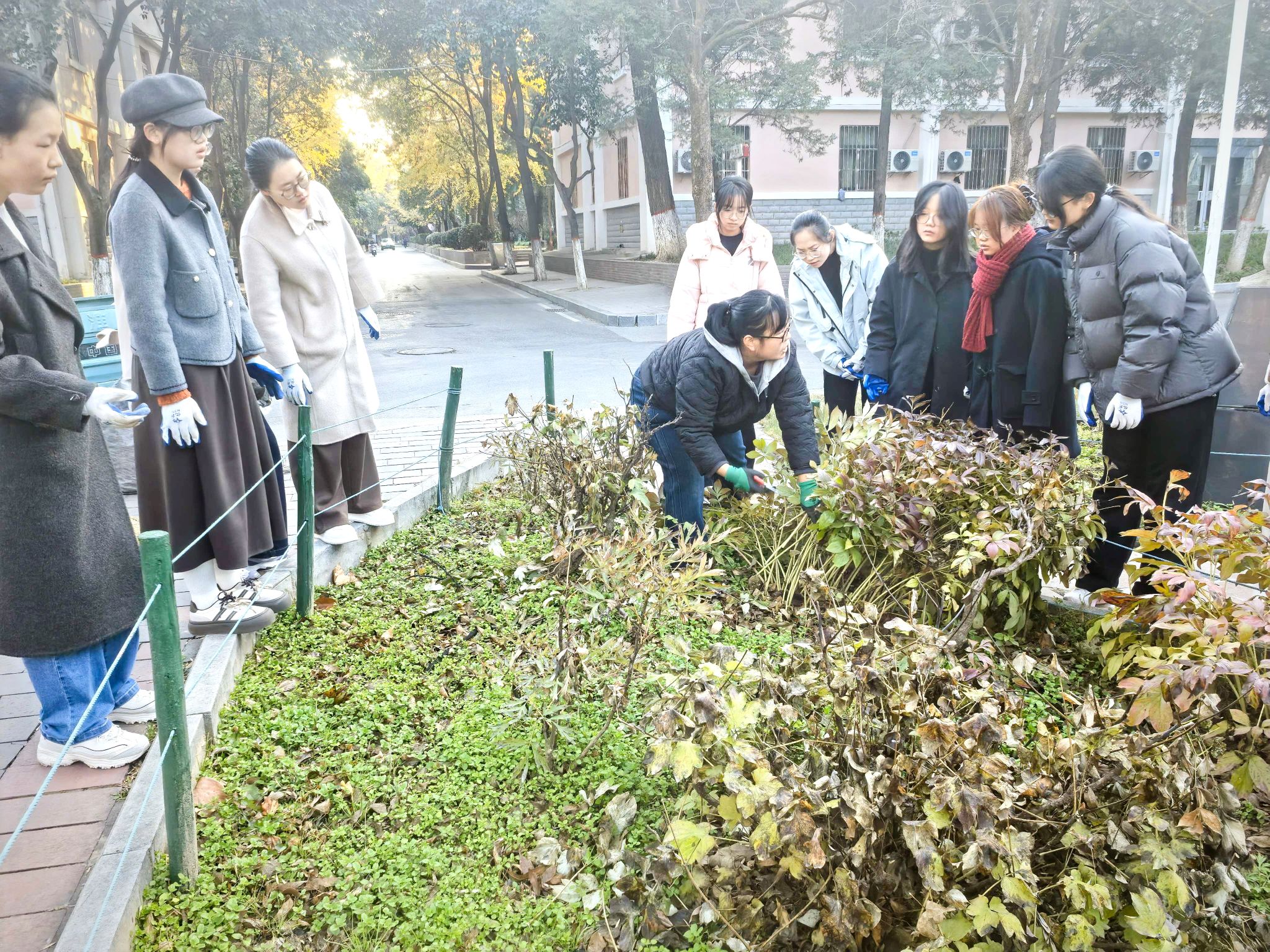 雁塔物业组织开展劳育实践系列活动